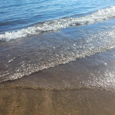 Gold Oasis エル・メダノ