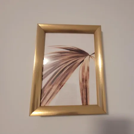 Gold Oasis * El Médano