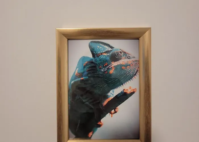 Апартаменты Gold Oasis *