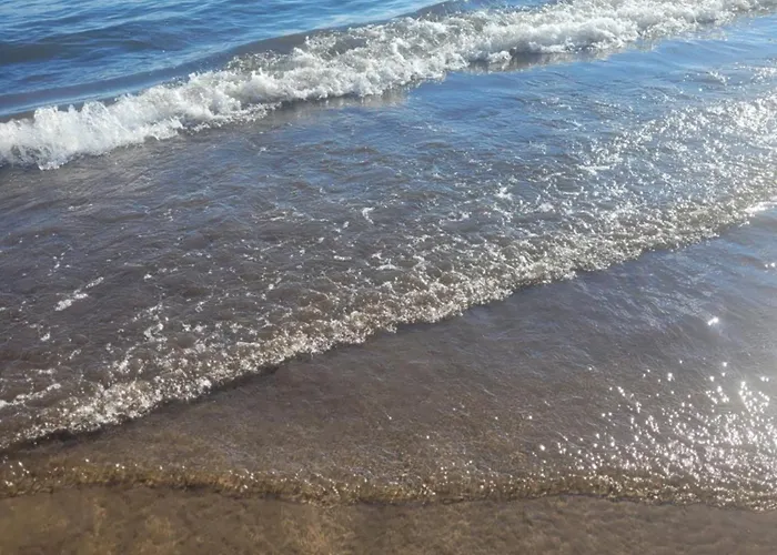 Gold Oasis El Médano