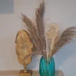 Gold Oasis Апартаменты Эль-Медано