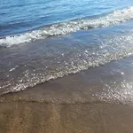 Gold Oasis Эль-Медано