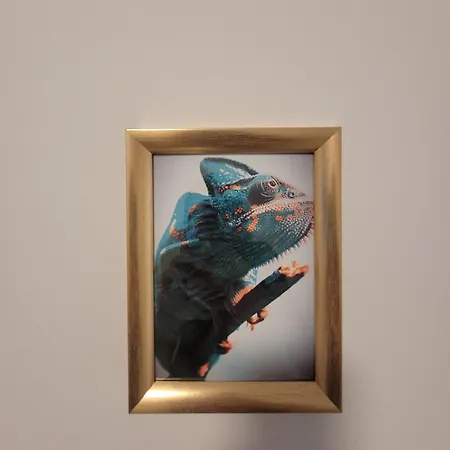 Apartament Gold Oasis *