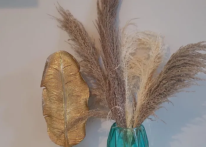 Gold Oasis 公寓 厄尔梅达诺