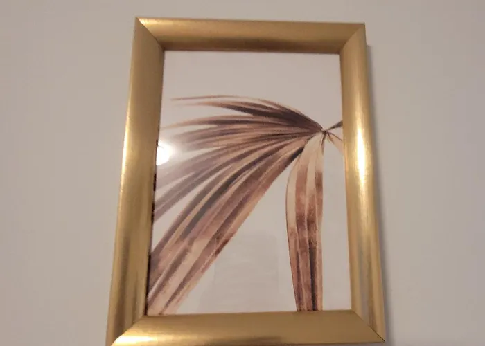 Gold Oasis * 厄尔梅达诺