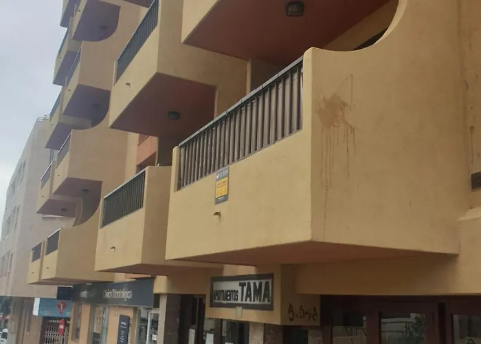 Gold Oasis אל מדאנו